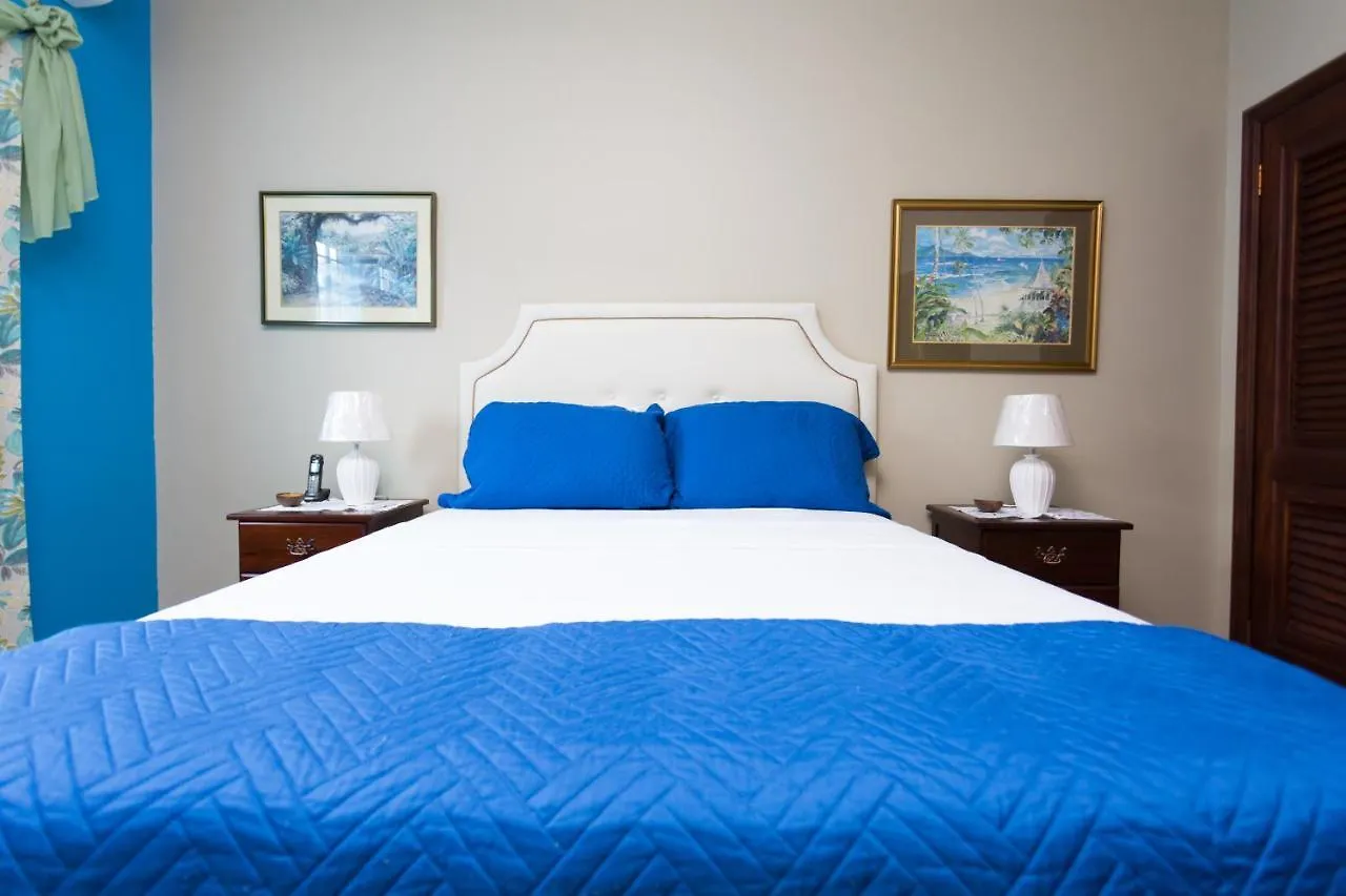 New Kingston Guest Apartment At Inglaterra III