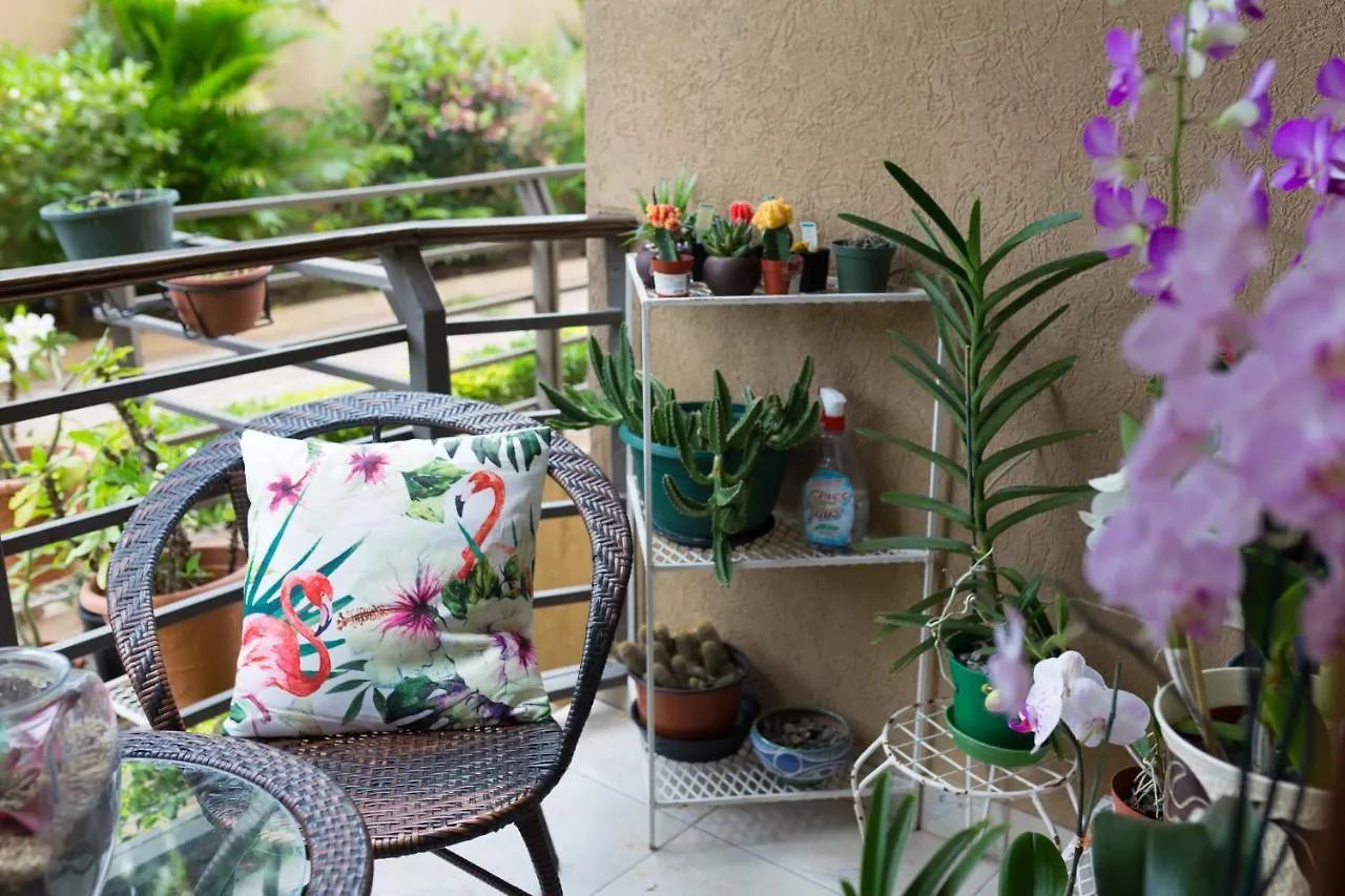 New Kingston Guest Apartment At Inglaterra III